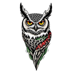 Strážca noci: Mystická sova