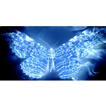 Bílý_modrý motýl