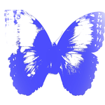 Modrý_motýl