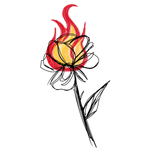 Flaming Rose