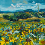 Krajina se slunečnicemi