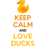 Keep calm and love ducks