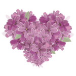 Lilac heart