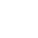 Bos