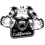 Skateboarding california
