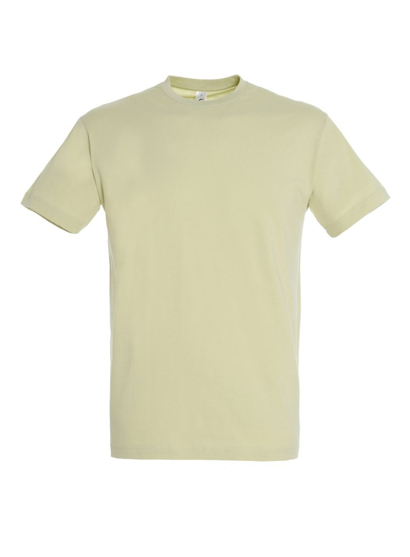 Pánské tričko SOL'S Regent - Jemně zelená XS